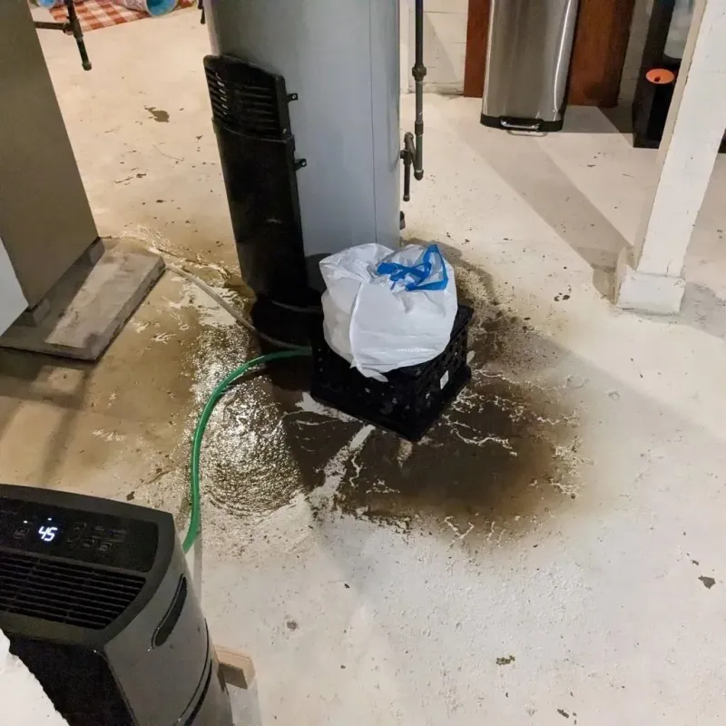 Sewage Backup Cleanup Service in Bellmawr, NJ